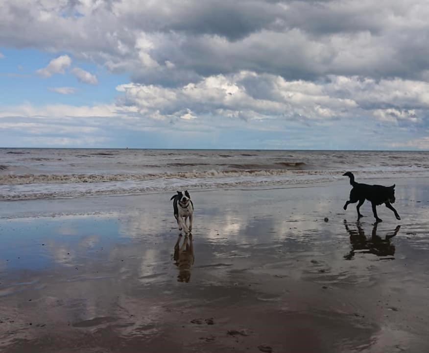 Bridlington'S Bolt Hole Chalet Buitenkant foto
