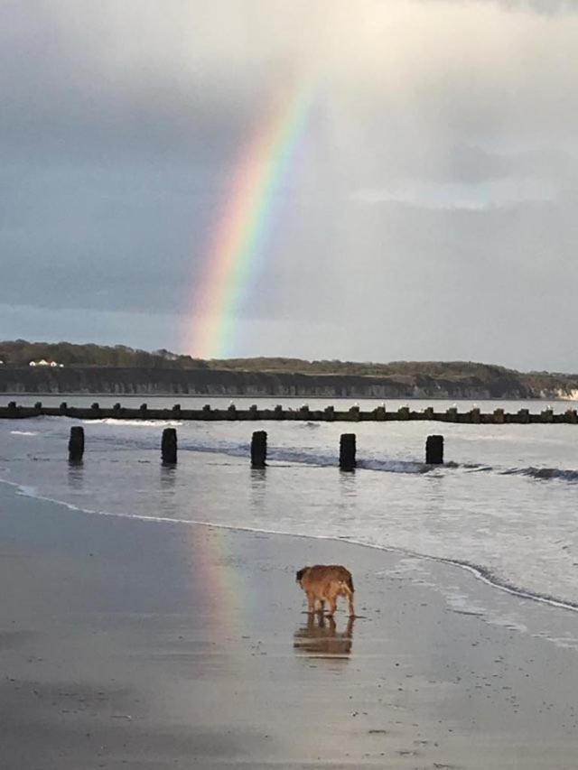 Bridlington'S Bolt Hole Chalet Buitenkant foto